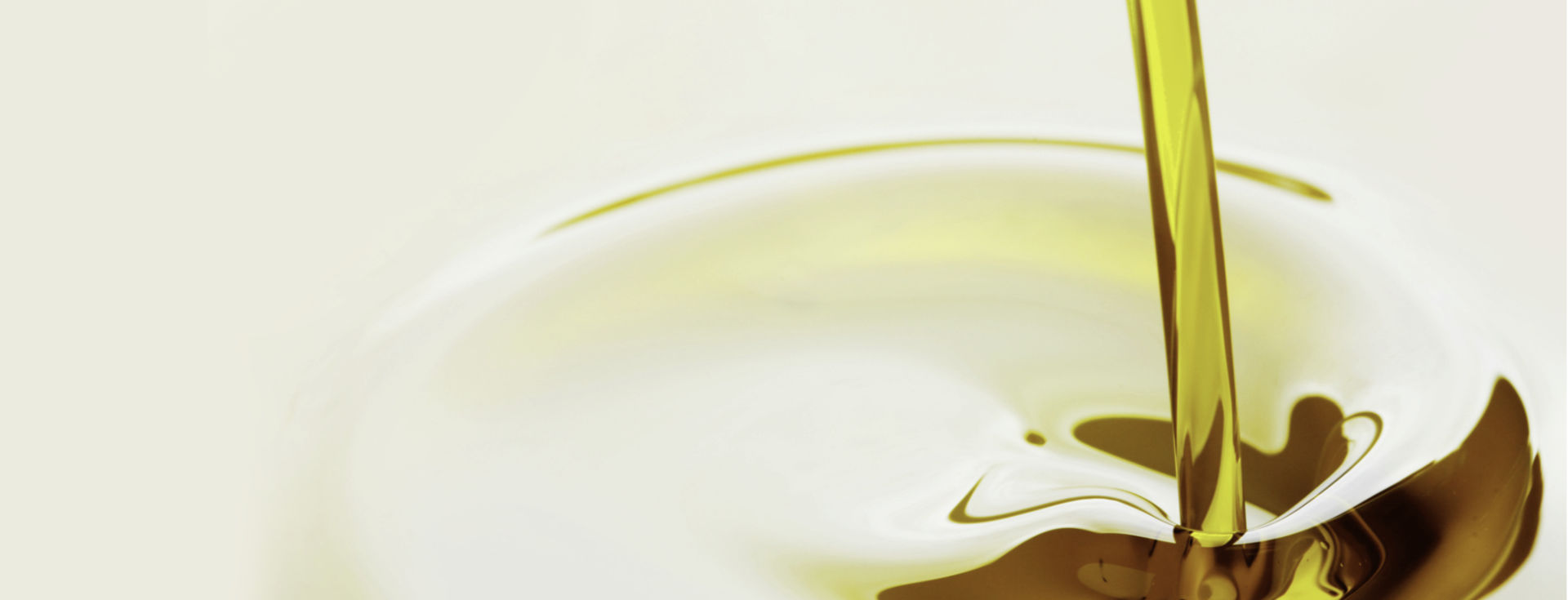 Biodiesel manufacturing company