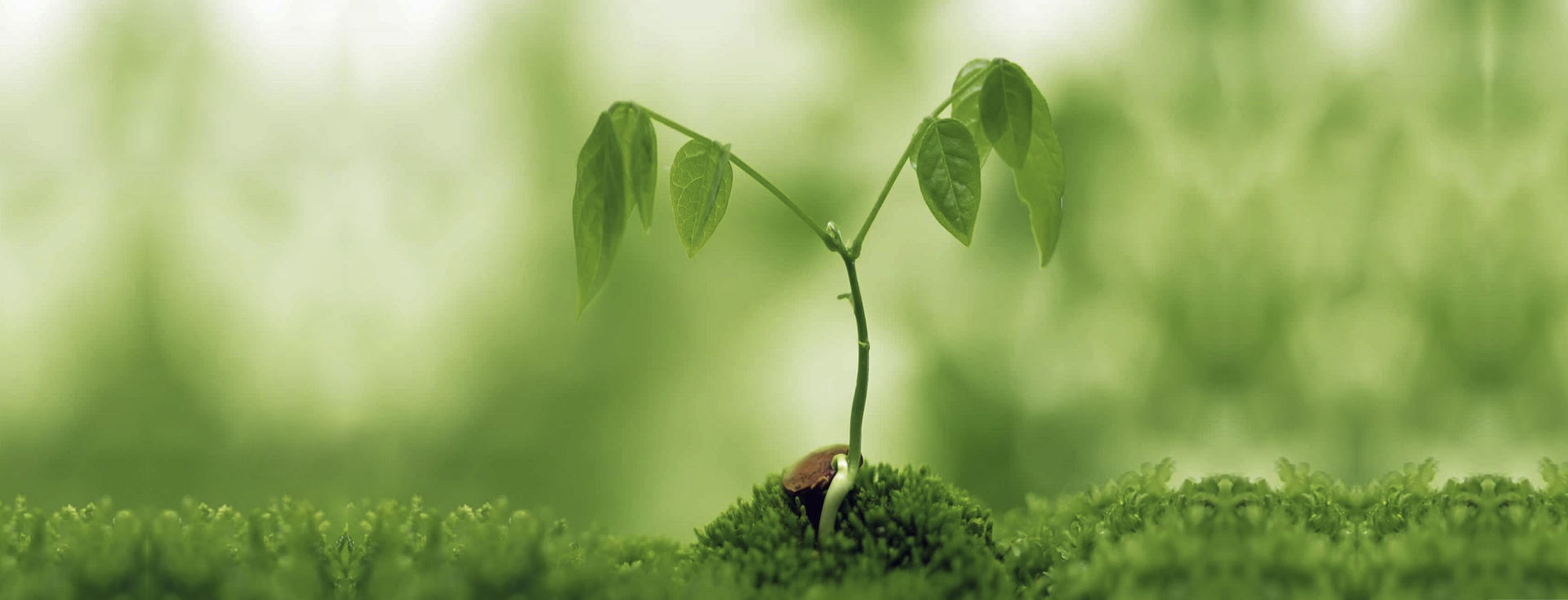 Save the planet save the earth