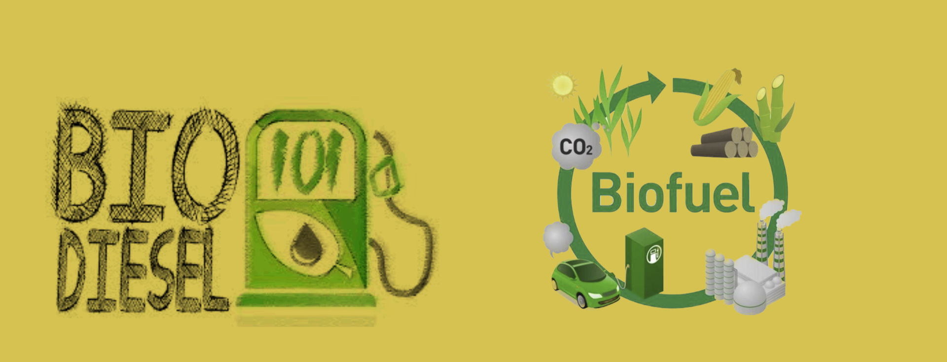 Environmentally Friendly 